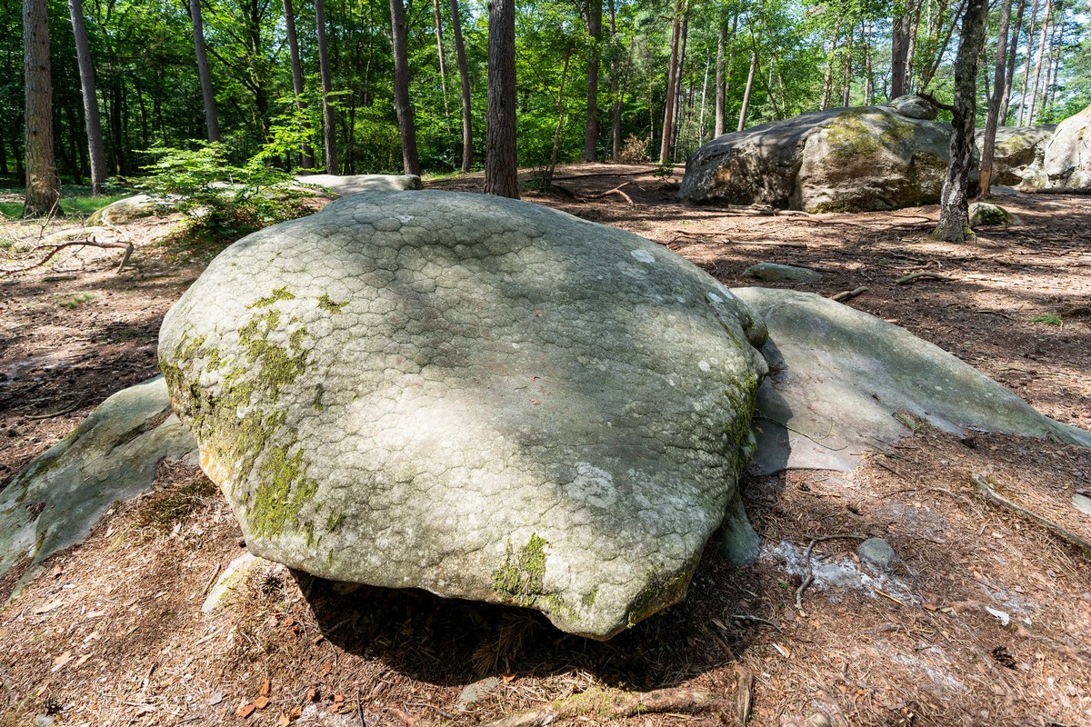 Fontainebleau
